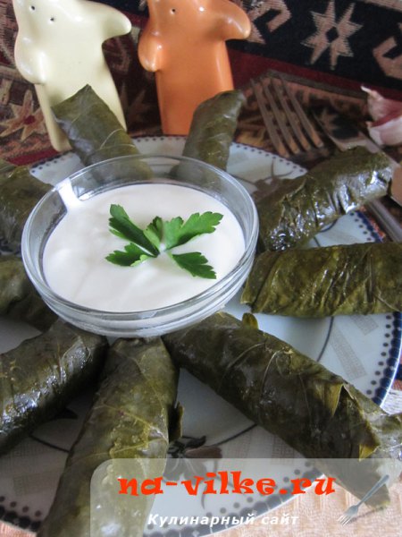 Долма в виноградных листьях с мясом