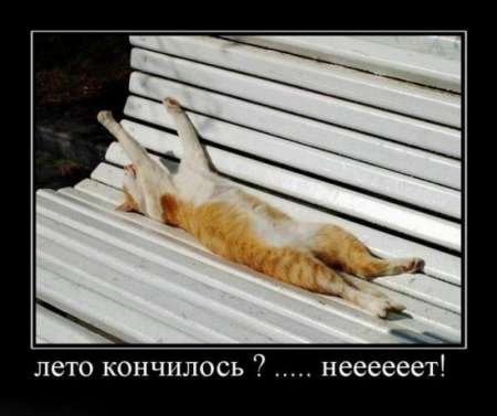 Фотографии с прикольными подписями, новые демотиваторы.