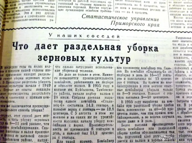 Егэ статья в газете. Как писать газету. Заметка в газету переписать. О чем писали в первых газетах.