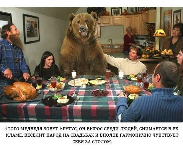 Настоящие снимки, которые не были обработаны (20 фото)
