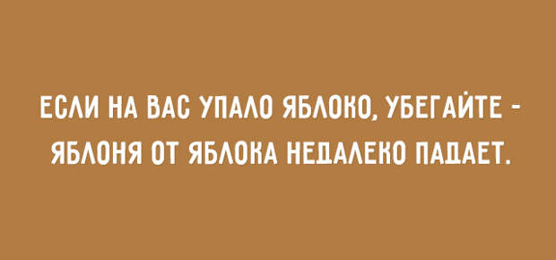 Душевные мысли и фразы для хорошего настроения 