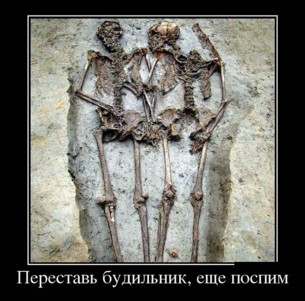 Демотиваторы демотиваторы, прикол, смех, юмор
