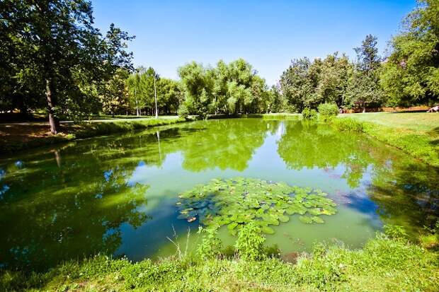 Воронцовский парк