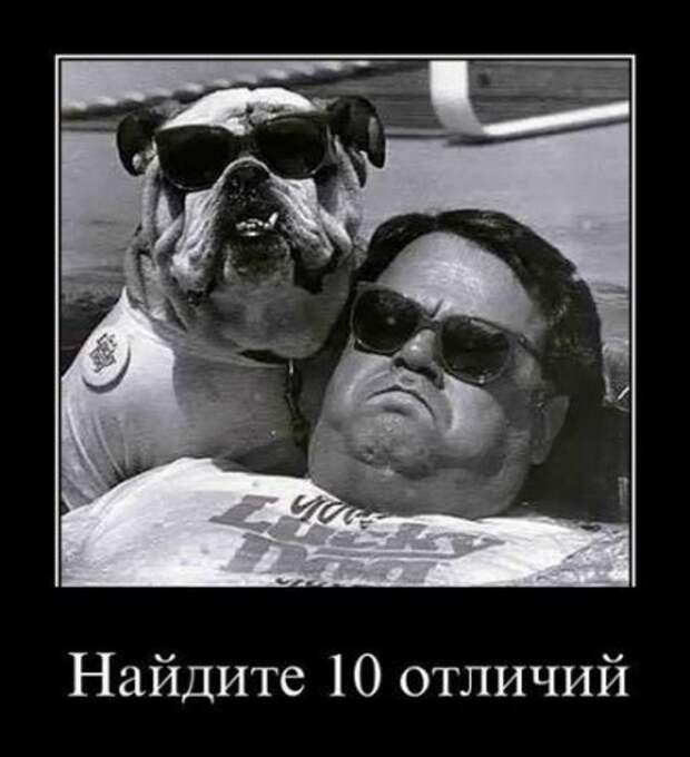 Демотиваторы, юмор дня, фотки с прикольными подписями.