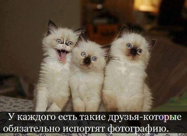 Мысли вслух Мысли вслух