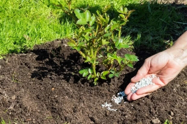 Telegraph: затянувшийся конфликт с Ираном угрожает мировому рынку удобрений