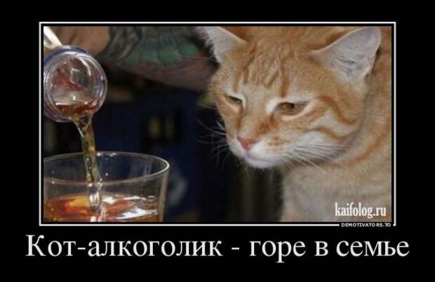 Демотиваторы - 260 (45 демок)