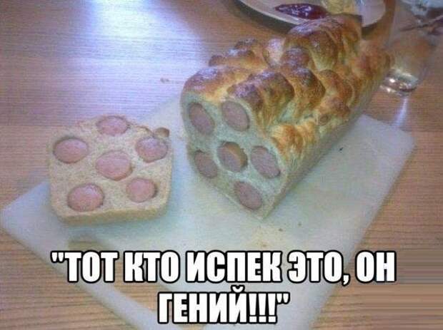 Смешные картинки с подписями катинки, прикол, юмор