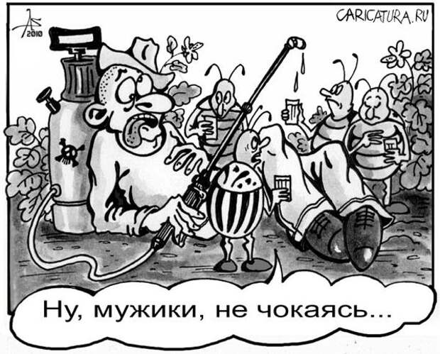 3821971_pominki (600x483, 73Kb)