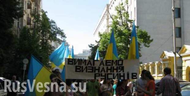 Русины Закарпатья опасаются геноцида  | Русская весна