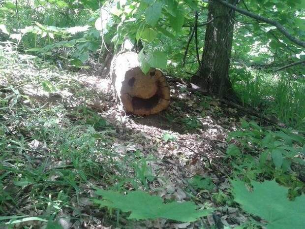 Они следят за тобой