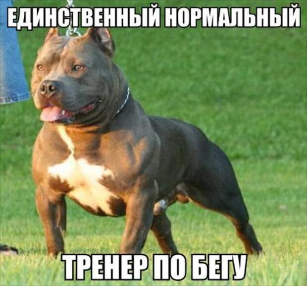Прикольные картинки для всех (43 шт)