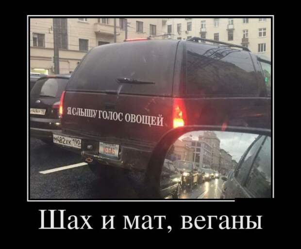 Демотиваторы - 970 Демотиваторы - 970