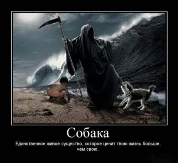 Демотиваторы со смыслом и с приколом.