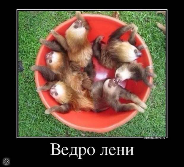 Спасибо женщинам за эволюцию! 3