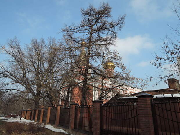 Храм Воскресения Христова на Семеновской