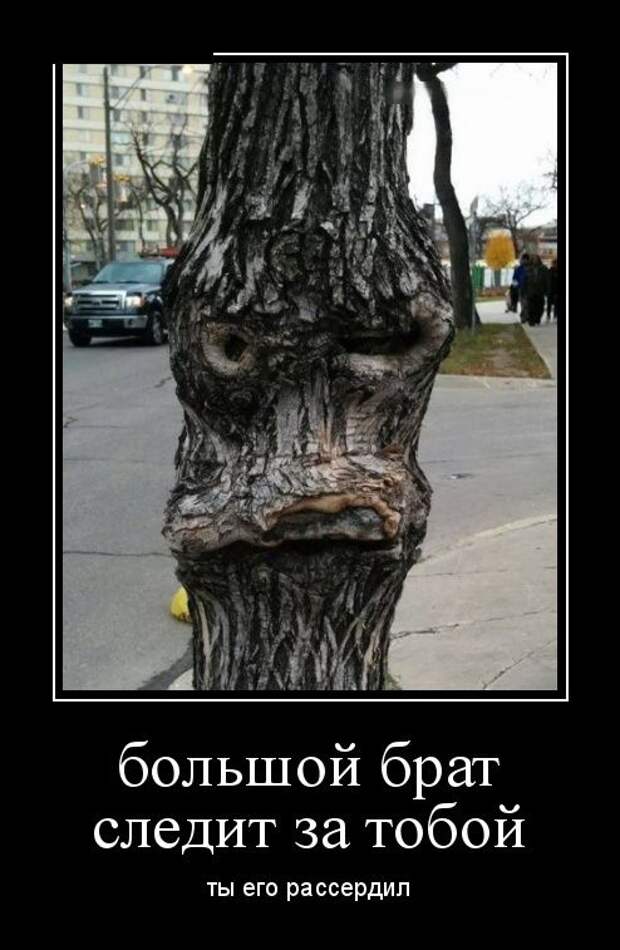 Демотиваторы (30 фото)