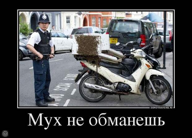 Посмеялись - и хватит 15