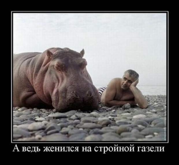 Приколы демотиваторы, смешные надписи и фото.