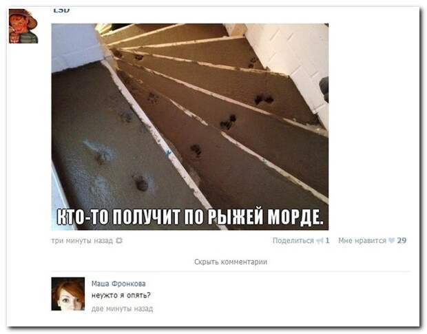 Смешные комментарии из социальных сетей 04.08.14 комментарии, прикол, соцсети, юмор