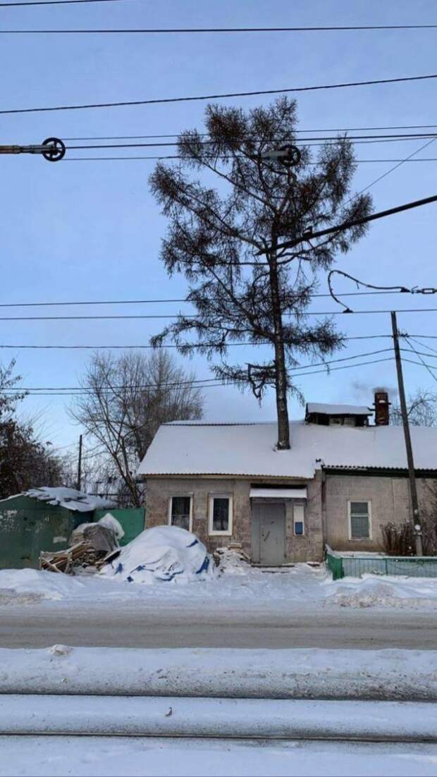 Смешные фото вечер 15 декабря 2020