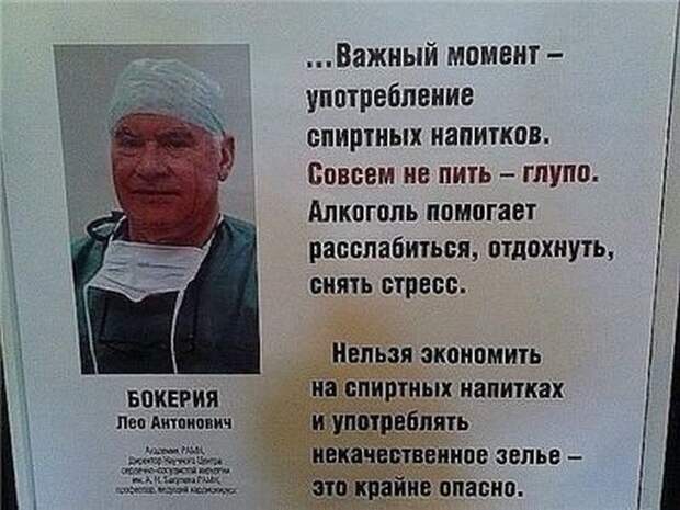 Прикольные картинки (102 фото)