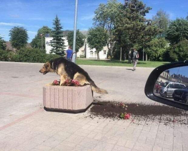 Намешалось
