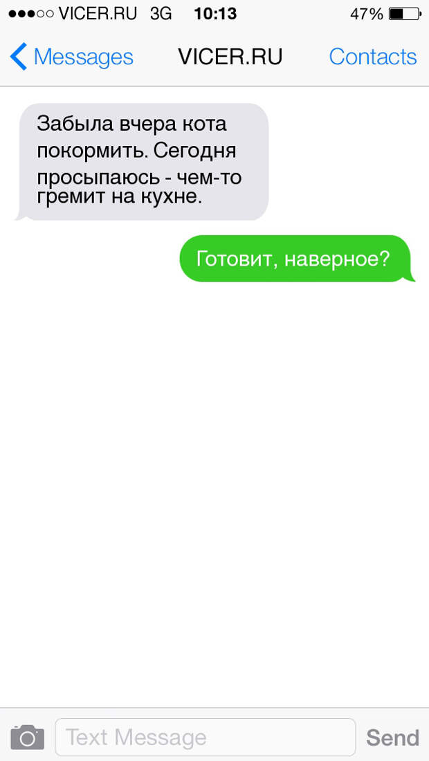смс о домашних животных 