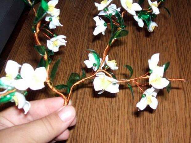 b2ap3_thumbnail_DSCF3759-14.jpg b2ap3_thumbnail_DSCF3759-14.jpg