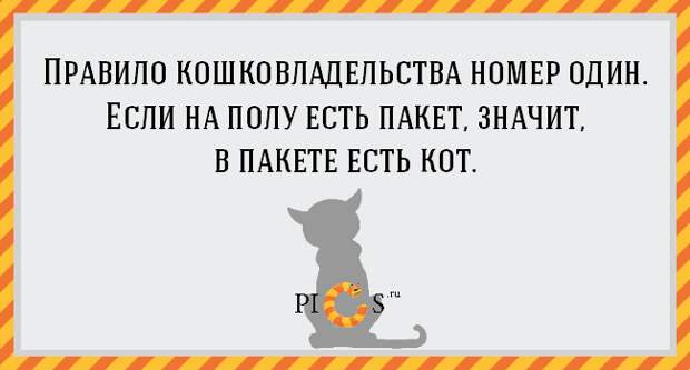 catowner14