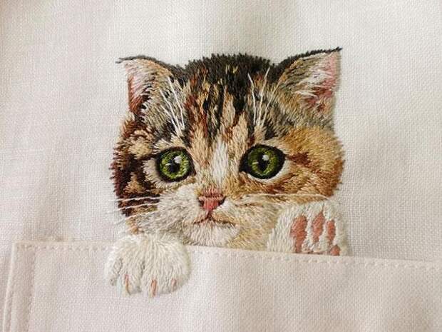 кошки 4