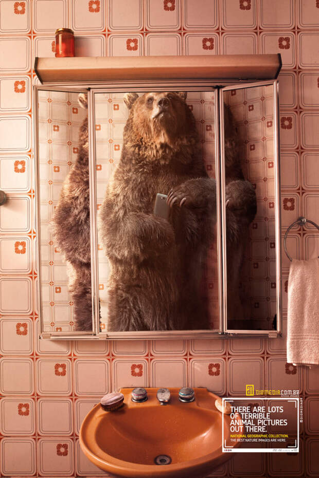 селфи от животных national geographic медведь