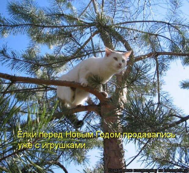 Мысли вслух :)