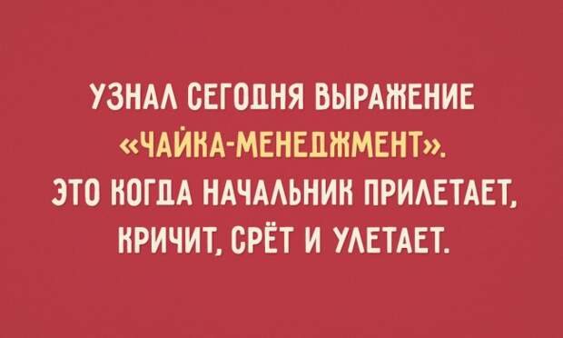 40 совершенно новых слов
