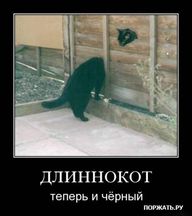 Демотиваторы, продолжаем позитивится.