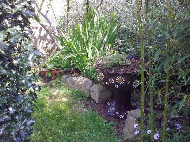 HPIM0996 (700x525, 390Kb)