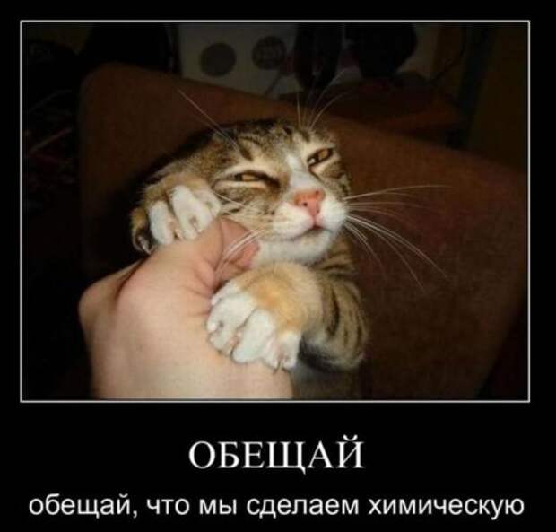 Новые демотиваторы на начало недели!