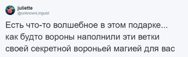 Lужчина четыре года кормил воронью семью и те принесли ему таинственный дар