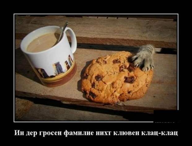 Демотиваторы (30 фото)
