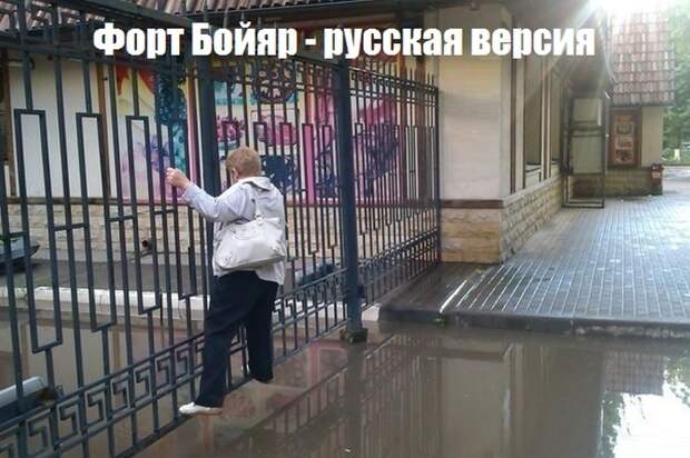 Смешные картинки с подписями катинки, прикол, юмор
