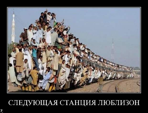Подборка демотиваторов (84 фото)
