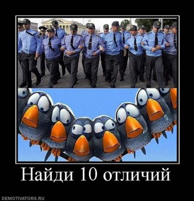 Демотиваторы смешные прямо тут и сейчас!