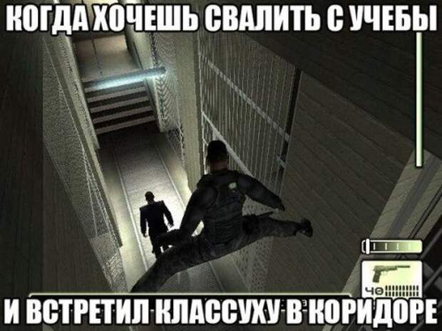 Новая коллекция прикольных фотомемов (37 шт)