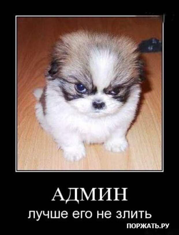 фото приколов (17)