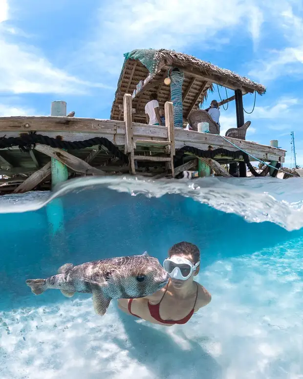 Андре Масгроув (André Musgrove) и его невероятные подводные снимки