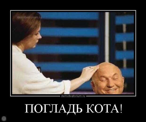 Острые и смешные демотиваторы 8