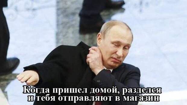 Забавные фотоприколы