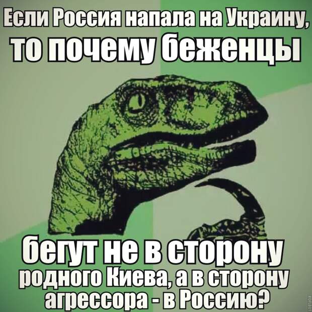 oZQybohv1AY