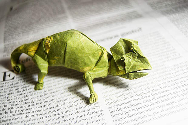 origami-paper-art-origami-chameleon-artur-biernacki1__700