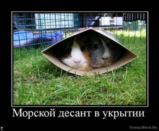 Большая подборка смешных демочек.